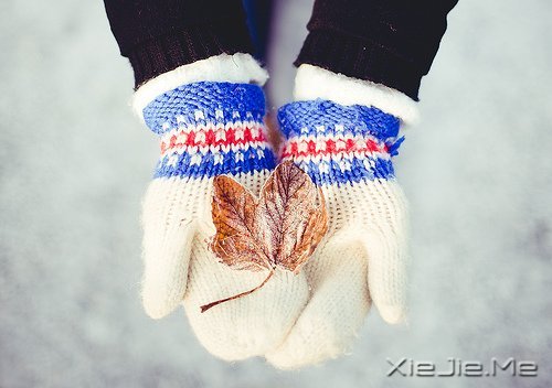 2014年送自己的十句话 (6)