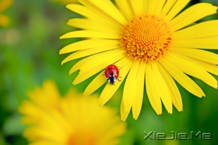 经典语录:你的世界,就是整个世界 (9)