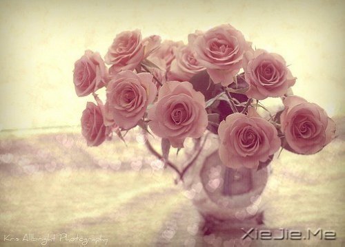 没有人是为了爱你而来到这个世界