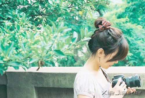 ���������������������ĸ