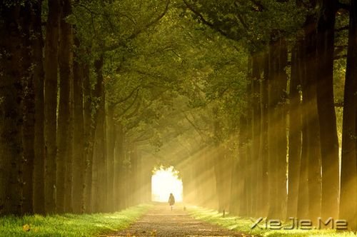 人是活给自己看的,哪怕双脚磨破也要一直走下去