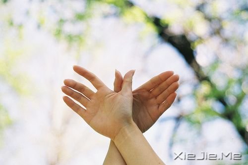 人生中那些舍不得的东西