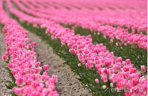 经典语录:输什么也不能输了心情 (2)