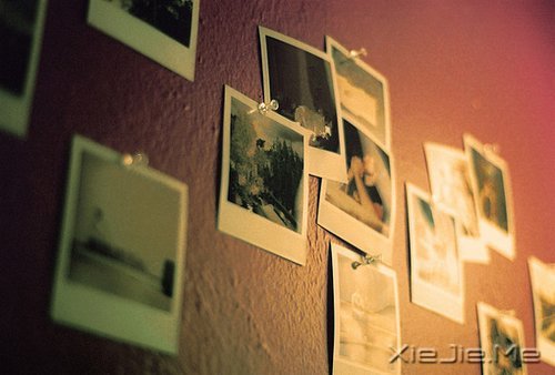 文字:假如人生不曾相遇 (4)