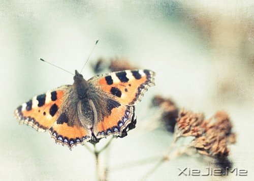 让我们慢慢过去,不必心急