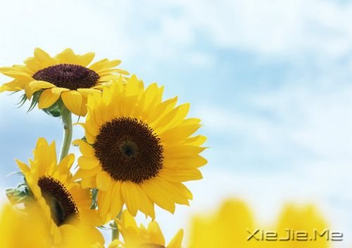 ������¼������ȥ�ı����ˣ�ֻ�������Լ�