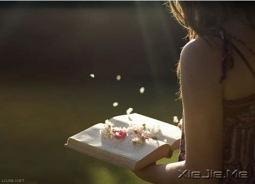 文字:阅读的时光 (6)