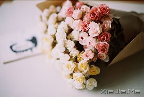 安静,一种淡淡的祥和 (5)