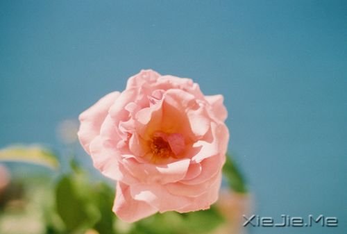 �����岻�� (5)