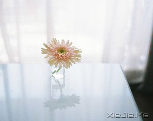 你是内向的人吗