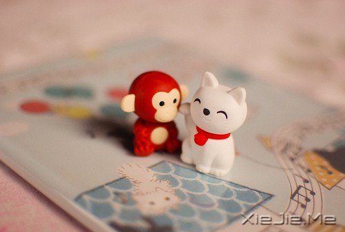 生命是一场漂泊的漫旅,遇见谁都是一个美丽的意外